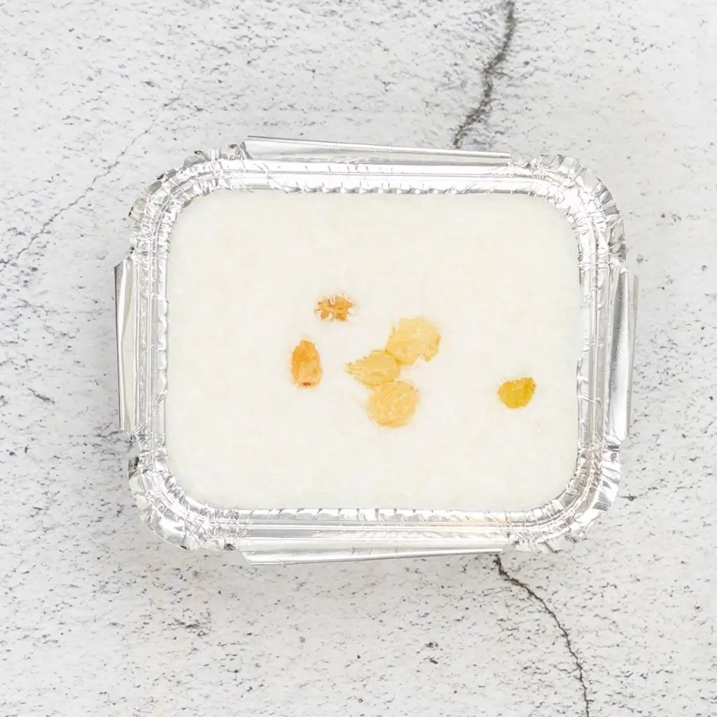 Rice With Milk